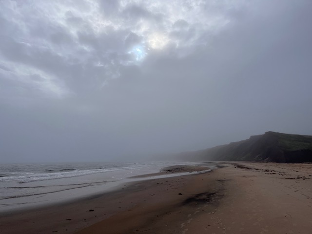 Plage de l'Anse à la cabane 2023